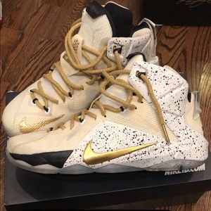 LEBRON 12 ids
